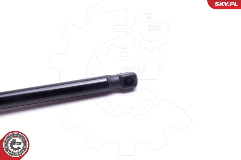 Gasfeder, Motorhaube Gasfeder, Motorhaube