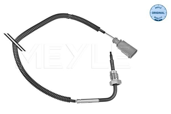 Sensor, Abgastemperatur