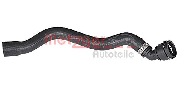 Radiator Hose 2420785