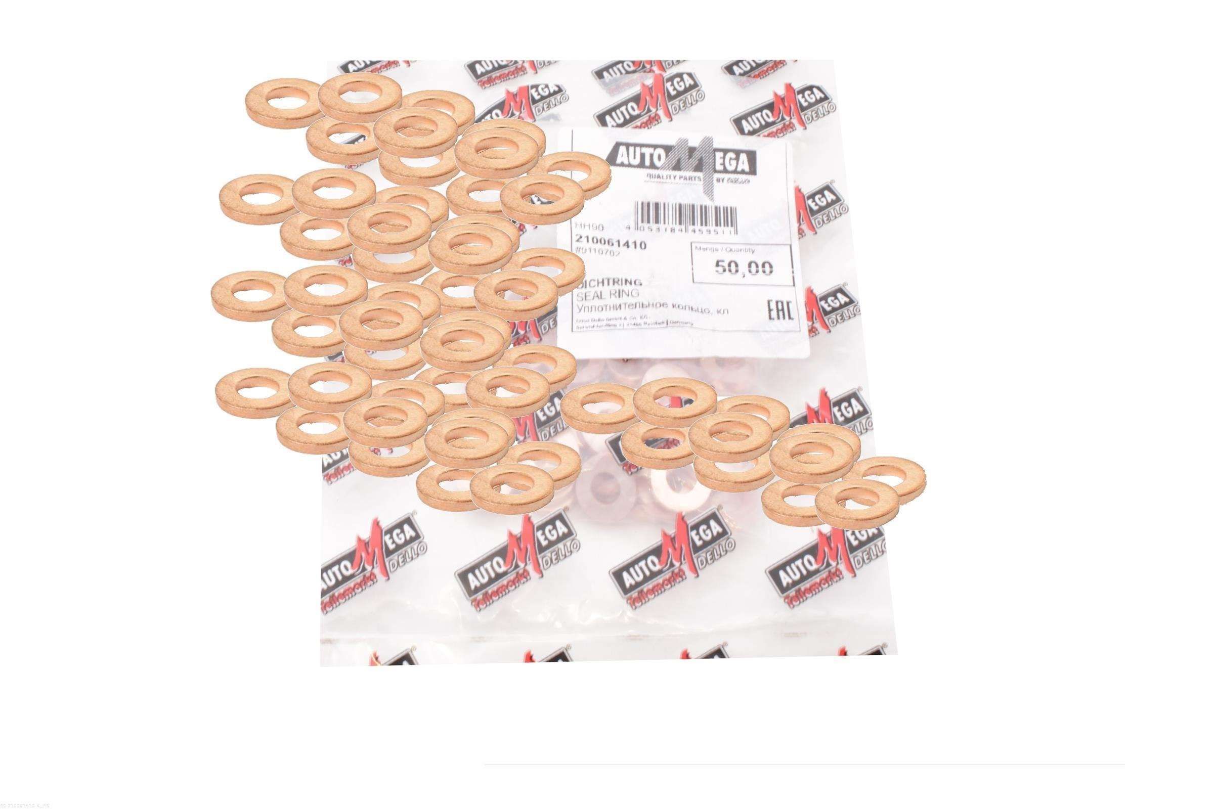 Dichtring, Einspritzventil