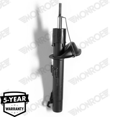 Shock Absorber G16258