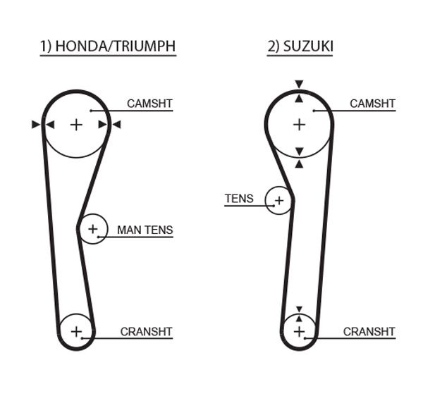 Timing Belt 5019