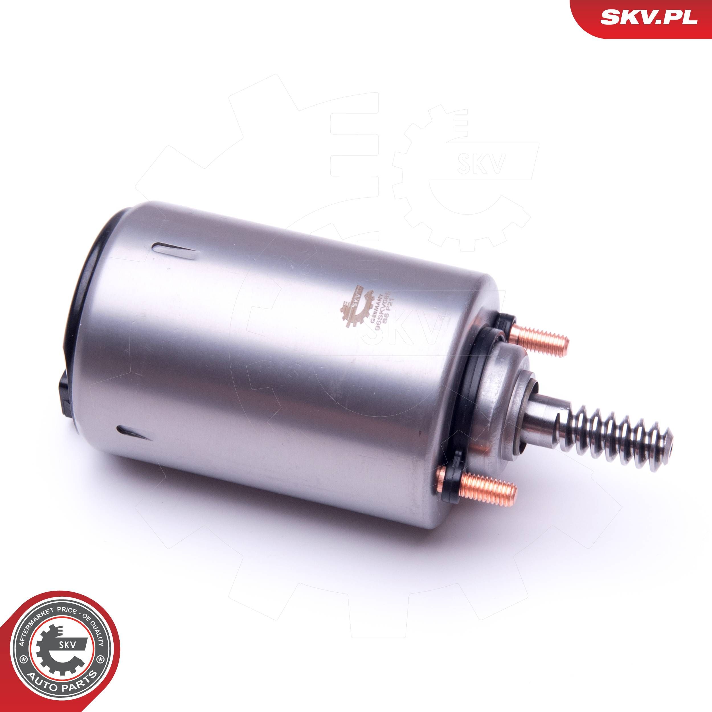 Stellelement, Exzenterwelle (variabler Ventilhub)