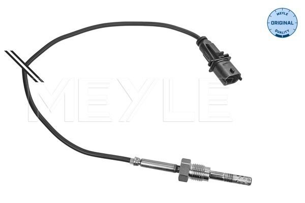 Sensor, Abgastemperatur