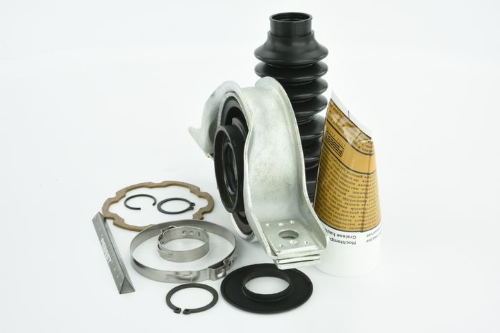 guolis, kardaninio veleno centrinis guolis