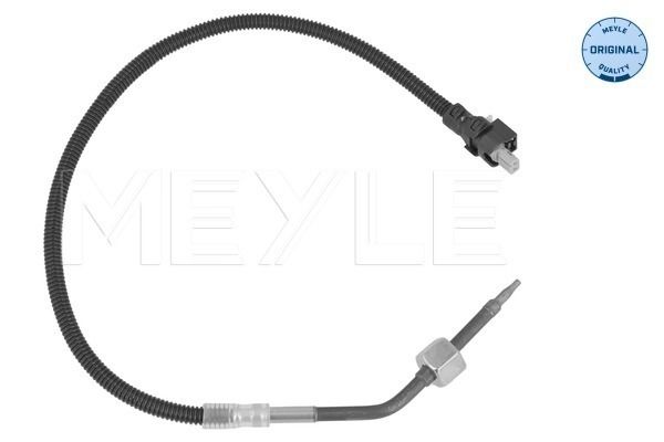 Sensor, Abgastemperatur