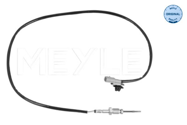 Sensor, Abgastemperatur