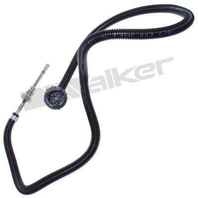 Sensor, de temperatura de gas de escape