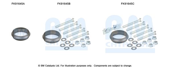 BM CATALYSTS FK91645 - Montagesatz, Katalysator