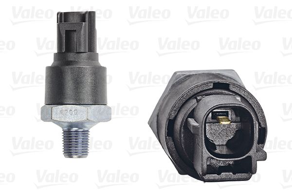 Sensor, oil pressure 255100