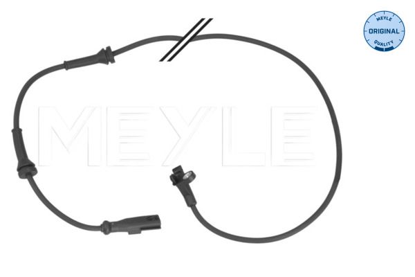 Sensor, Raddrehzahl