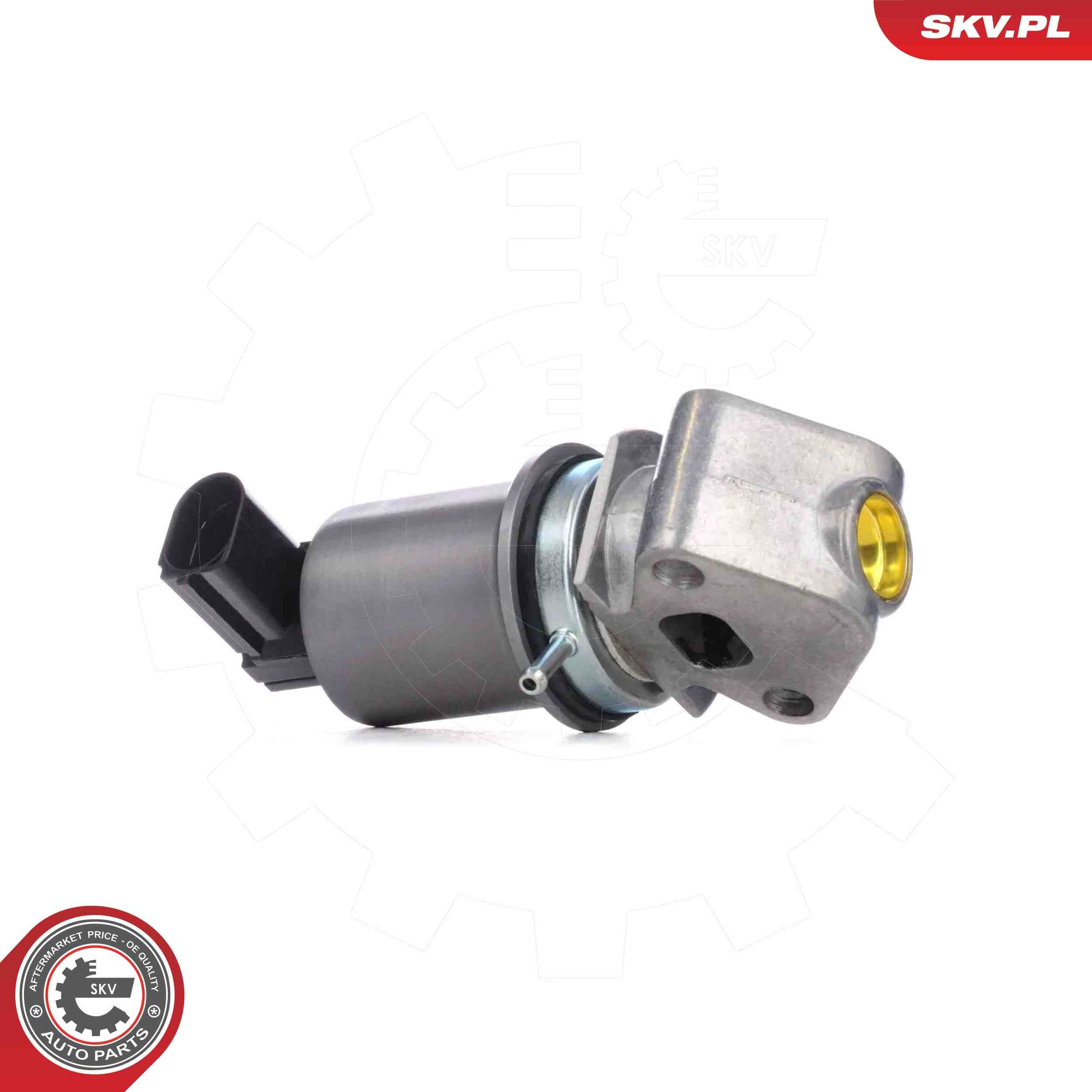 14SKV293 ESEN SKV AGR-szelep