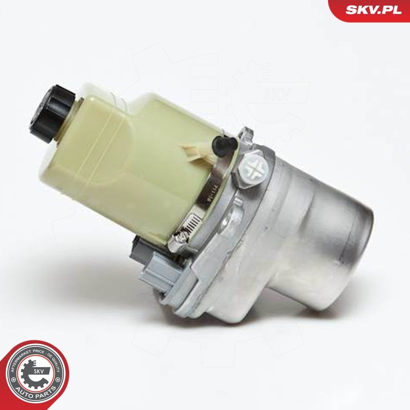 ESEN SKV 10SKV135 - Hydraulikpumpe, Lenkung