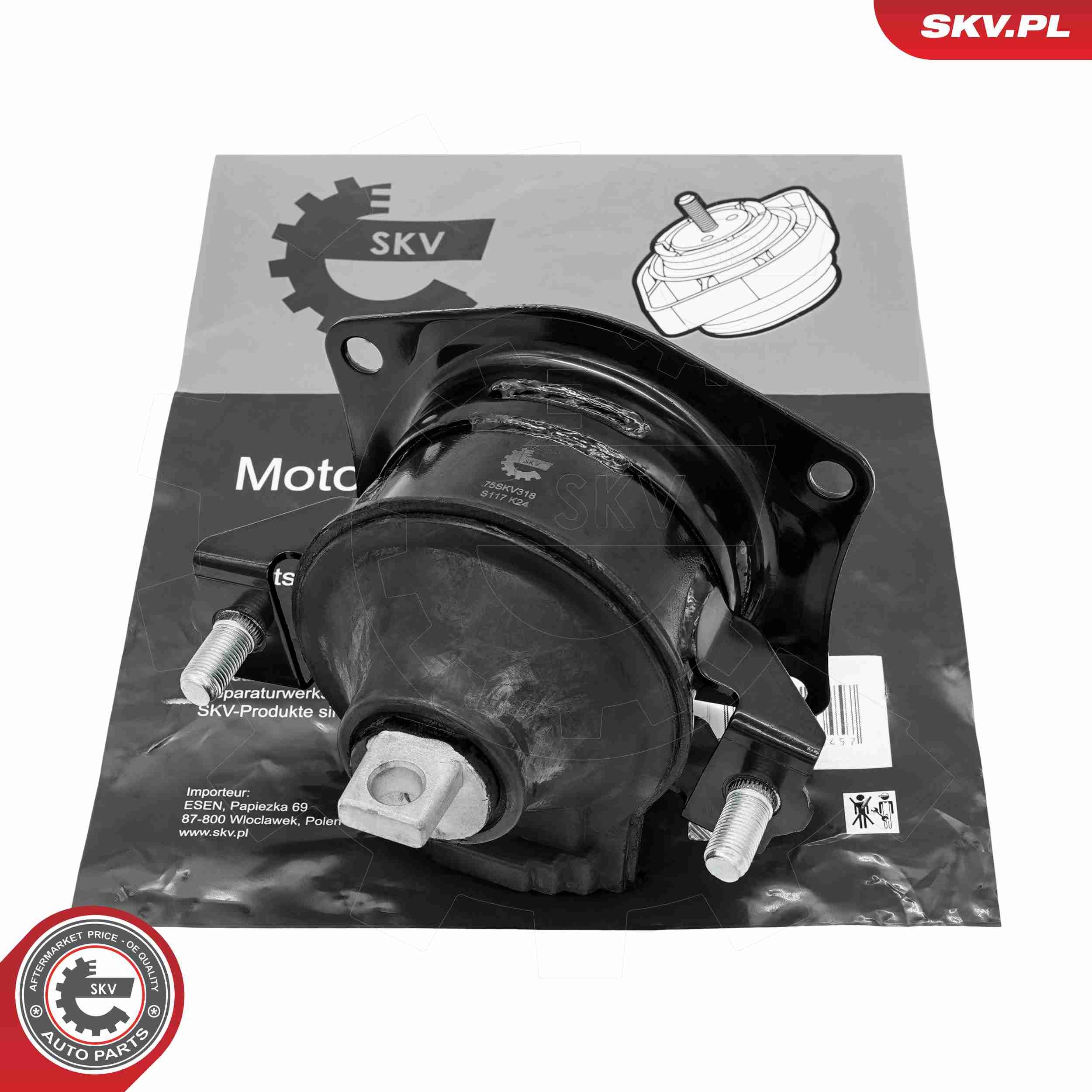 ESEN SKV 75SKV318 - Lagerung, Motor