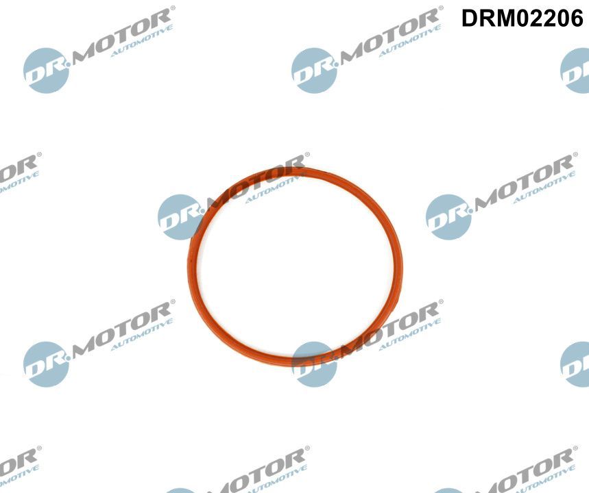 Dr.Motor Automotive DRM02206 - Dichtung, Drosselklappenstutzen
