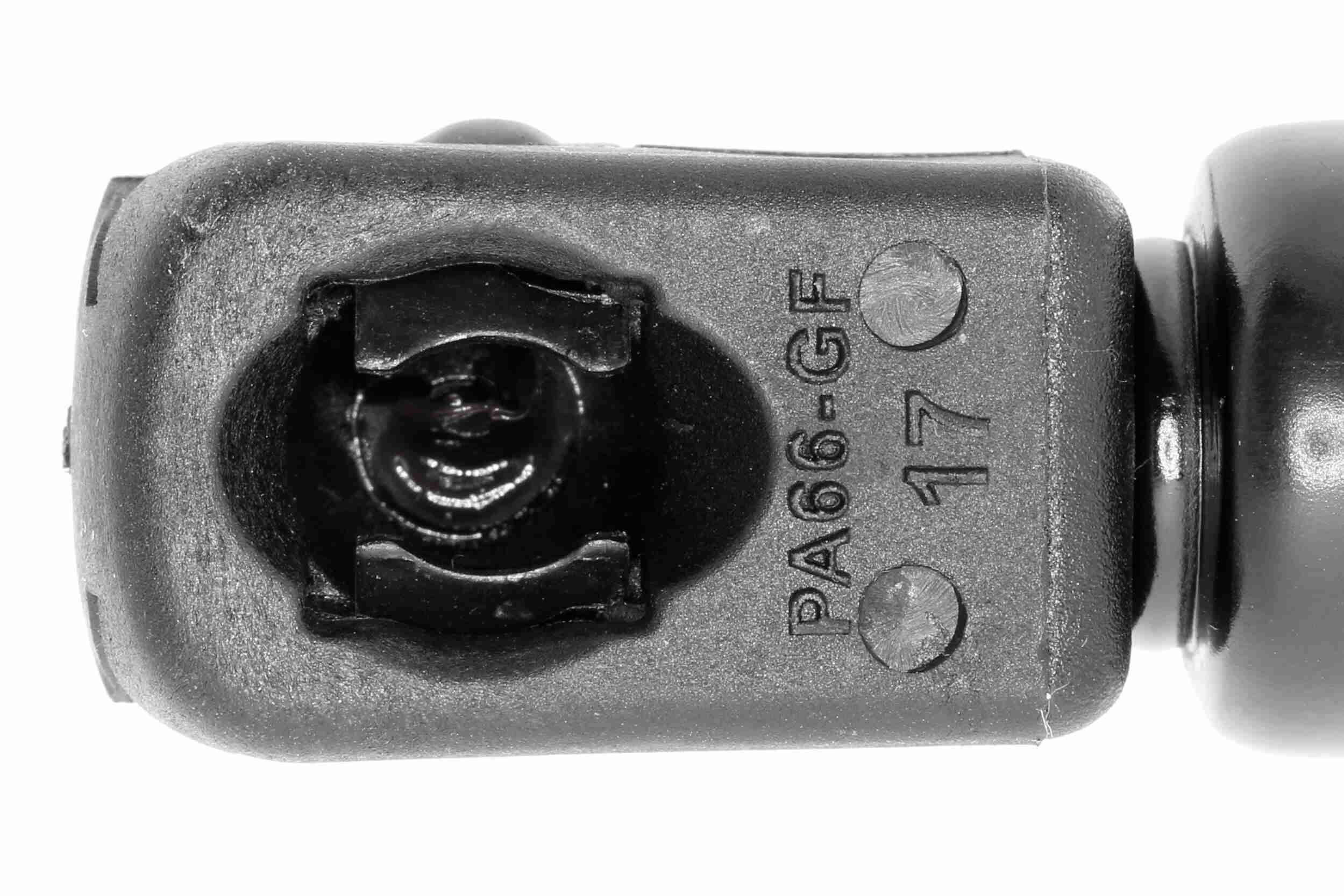 Gasfeder, Koffer-/Laderaum