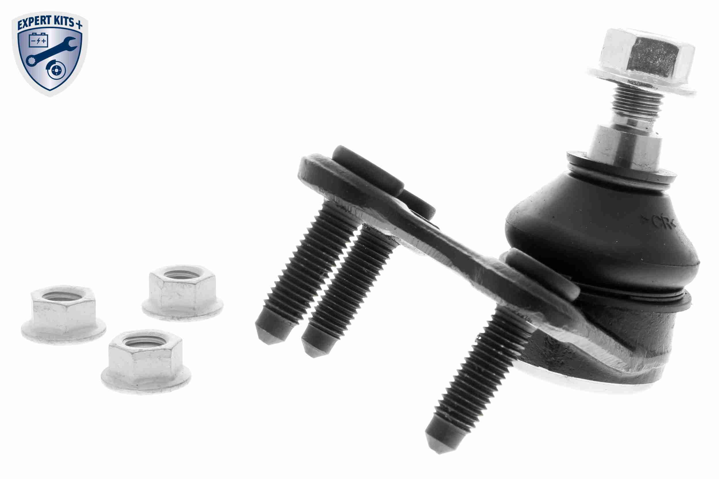 Trag-/Führungsgelenk