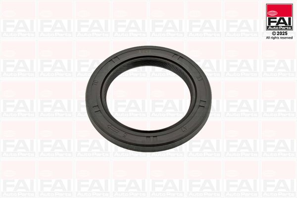 Wellendichtring, Kurbelwelle