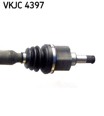 VKJC 4397_3.JPG