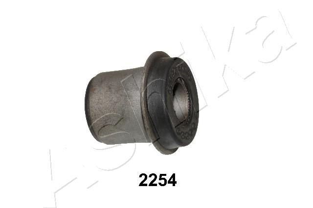 Mounting, control/trailing arm GOM-2254