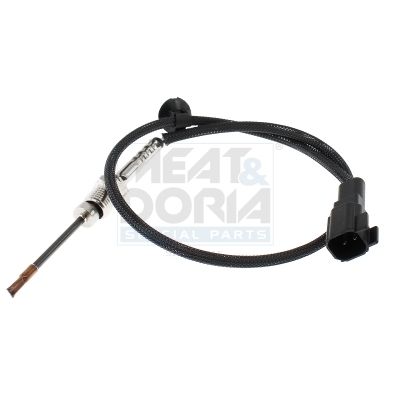 Sensor, Abgastemperatur