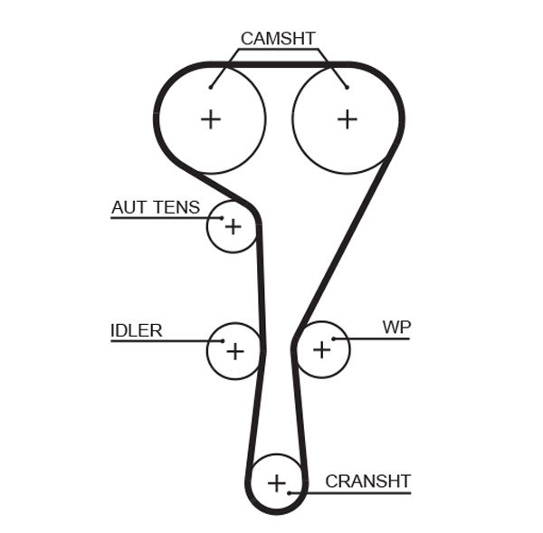 Timing Belt 5550XS