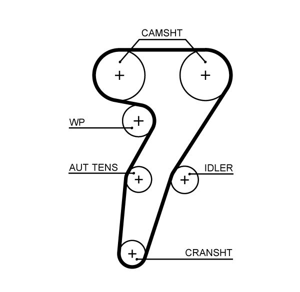 Timing Belt 5653XS