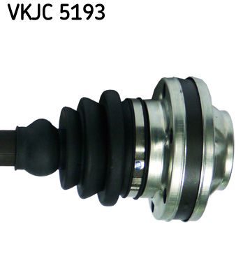 VKJC 5193_3.JPG