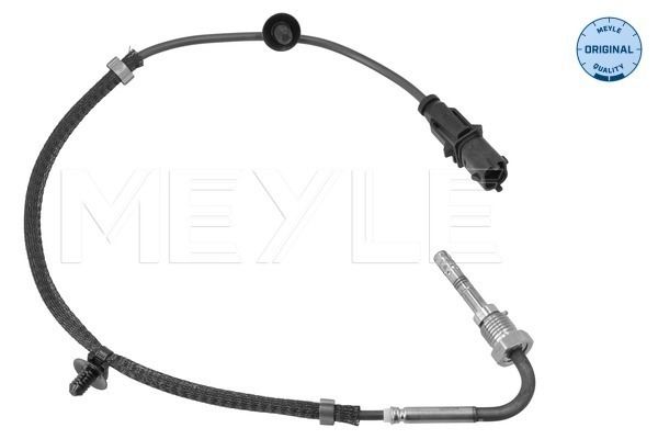 Sensor, Abgastemperatur