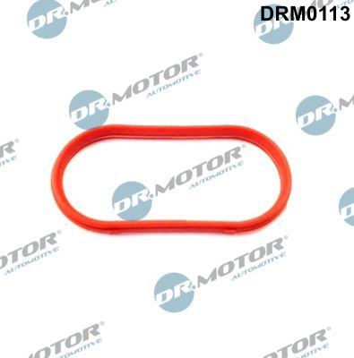 Dr.Motor Automotive DRM0113 Gasket, intake manifold