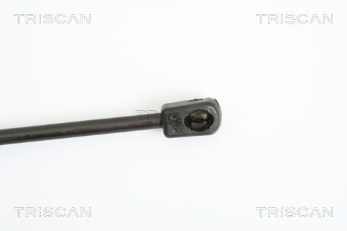 Triscan 8710 18217 Gasfeder, Koffer-/Laderaum
