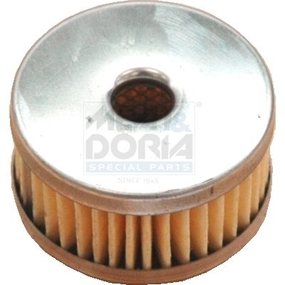 4874.JPG