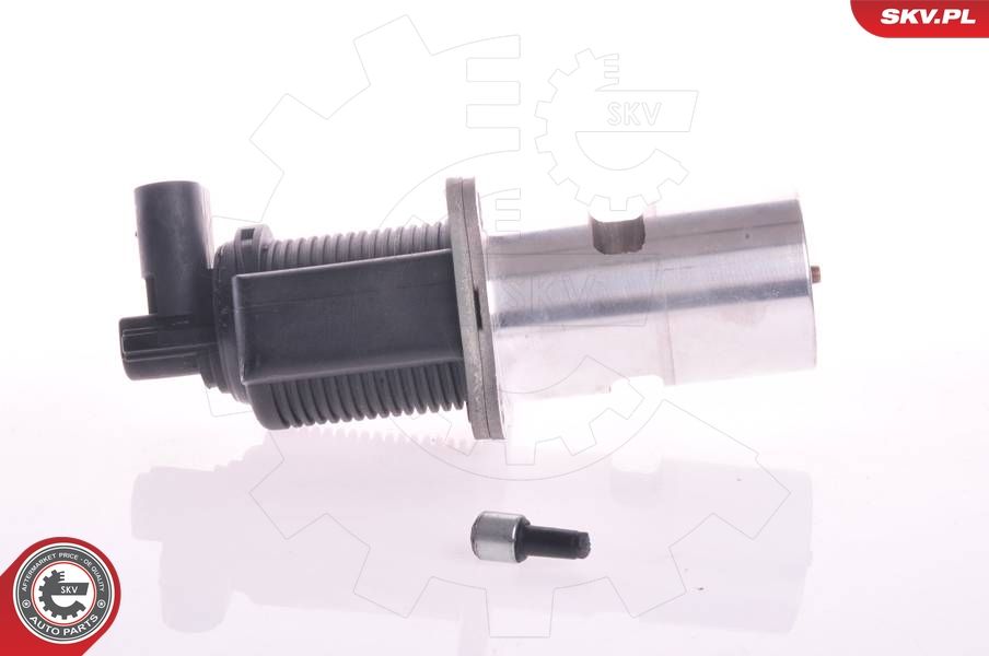 EGR Valve 14SKV011