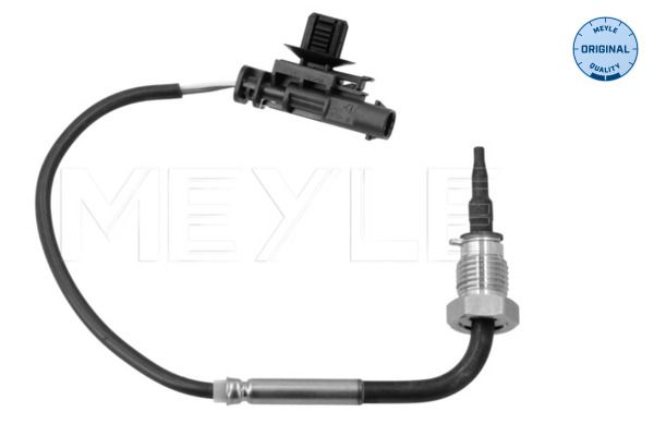 Sensor, Abgastemperatur