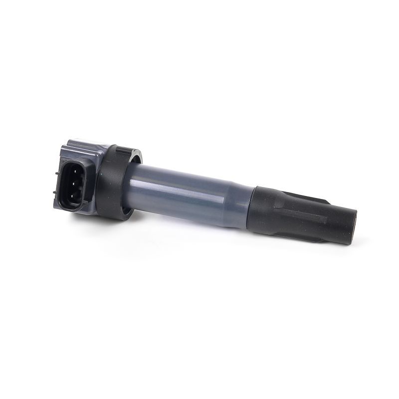 Ignition Coil GN10530-12B1