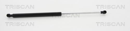 Triscan 8710 23233 Gasfeder, Koffer-/Laderaum