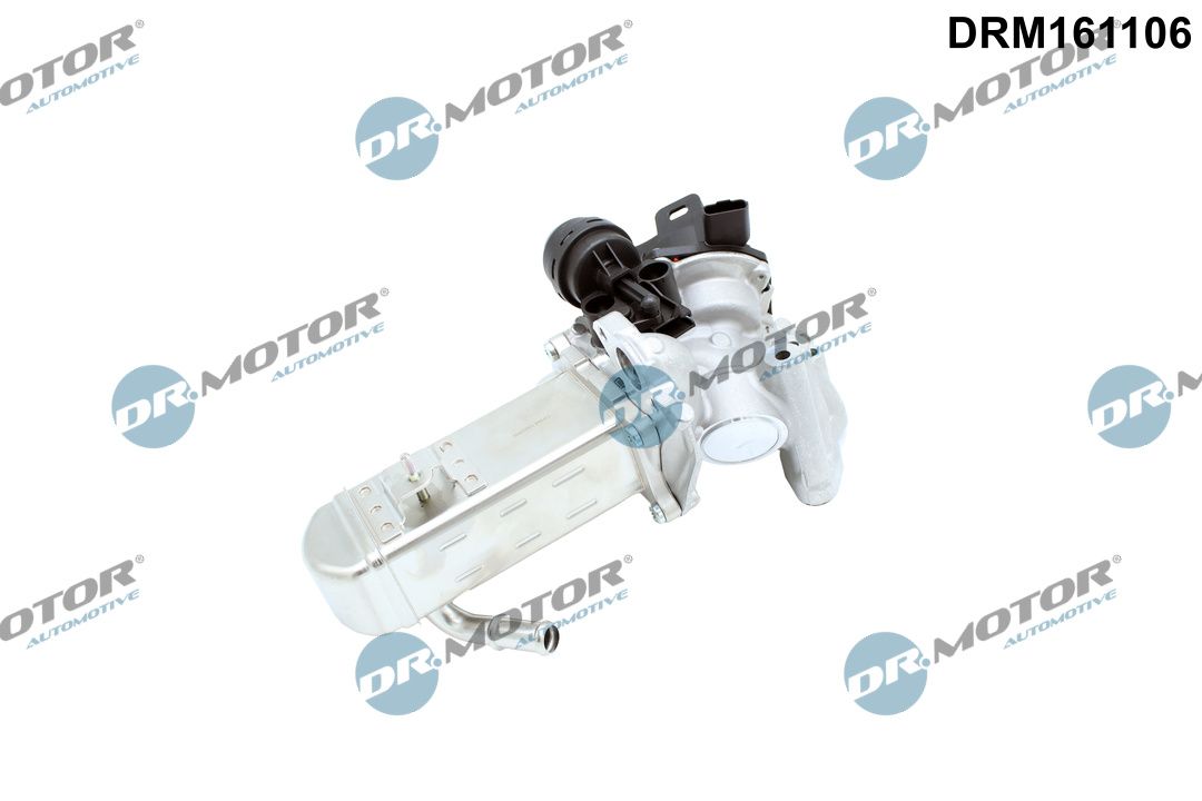 Dr.Motor Automotive DRM161106 - K&uuml;hler, Abgasr&uuml;ckf&uuml;hrung