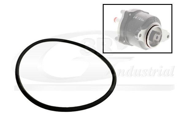 3RG 81091 - Dichtung, Unterdruckpumpe