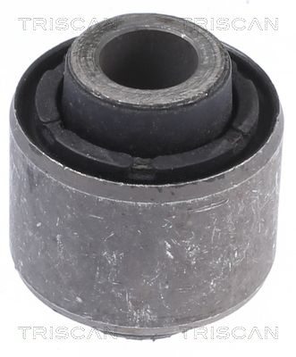 Triscan 8500 43847 Lagerung, Lenker