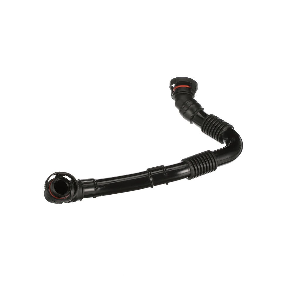 žarna, karterio alsuoklis