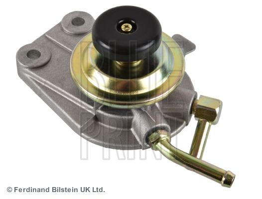ADN16850_1.JPG