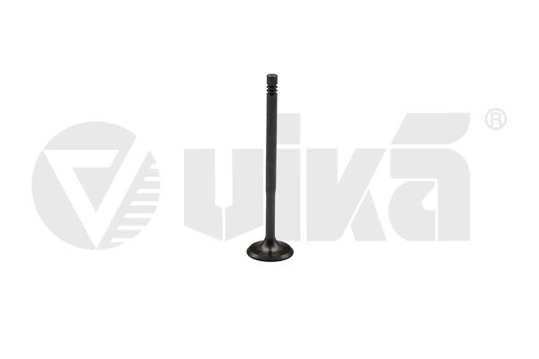 vika 11090176201 - Einlassventil