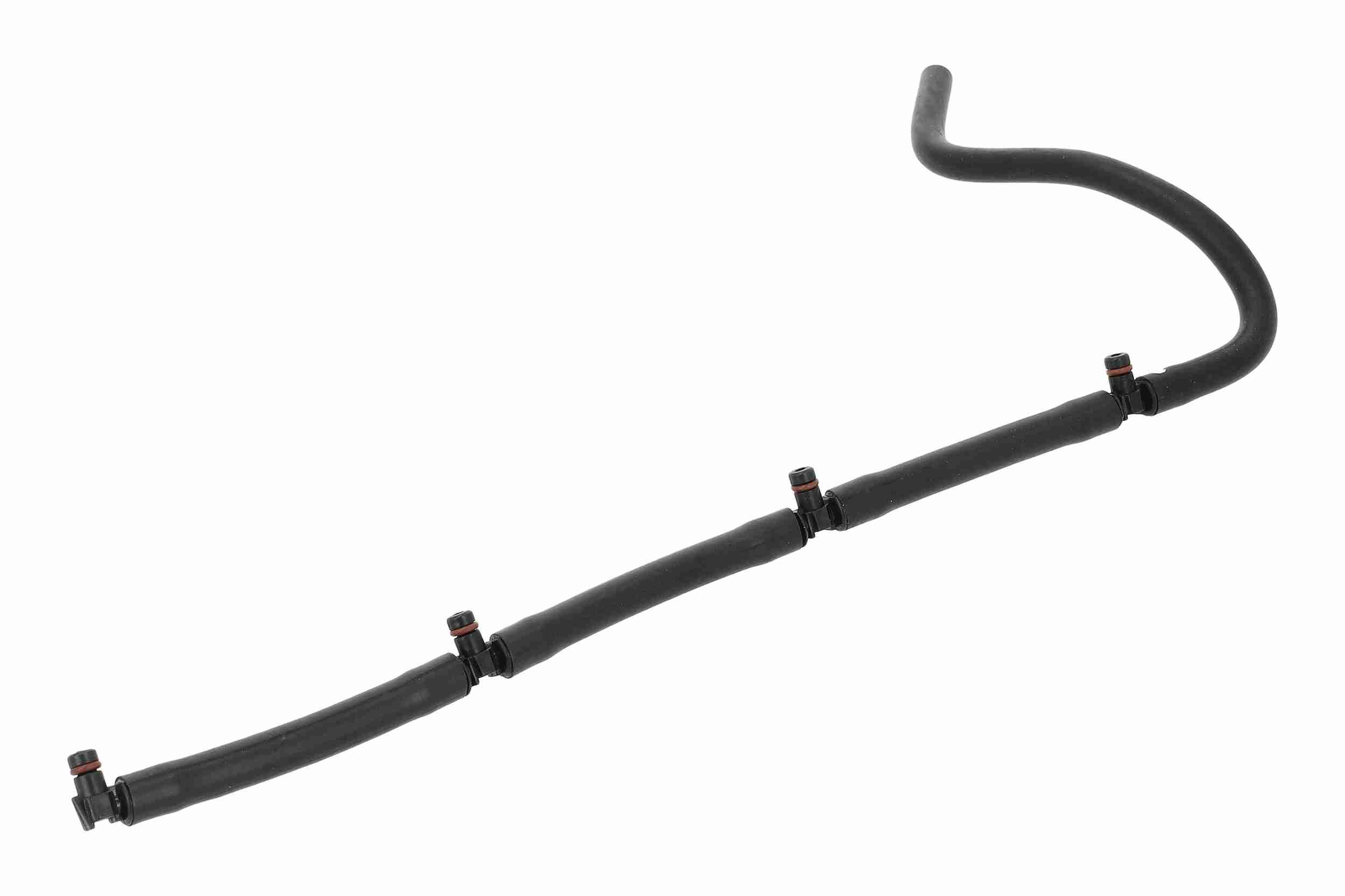 Schlauch, Leckkraftstoff