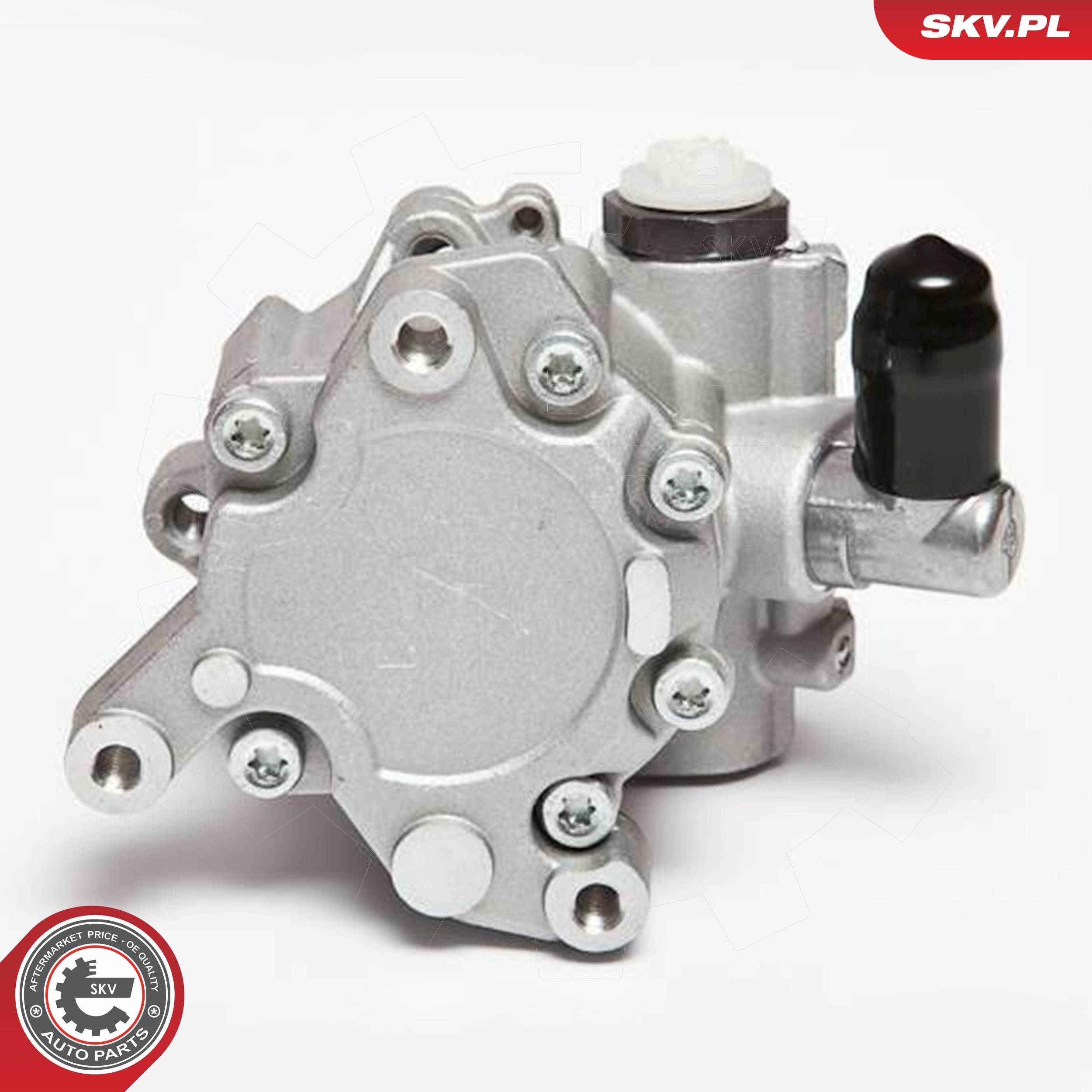 ESEN SKV 10SKV043 - Hydraulikpumpe, Lenkung