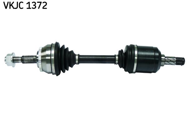 VKJC 1372.JPG