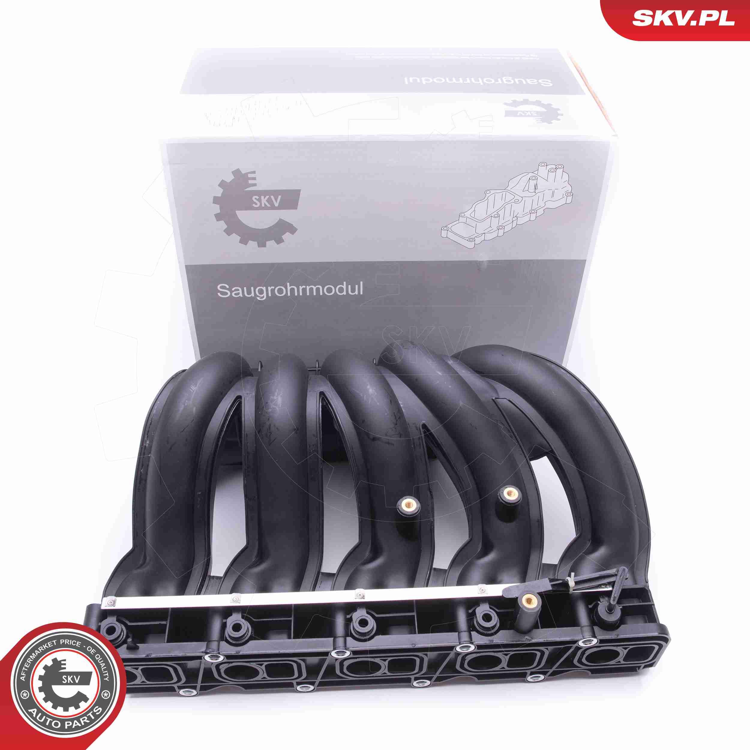 ESEN SKV 49SKV012 - Saugrohrmodul