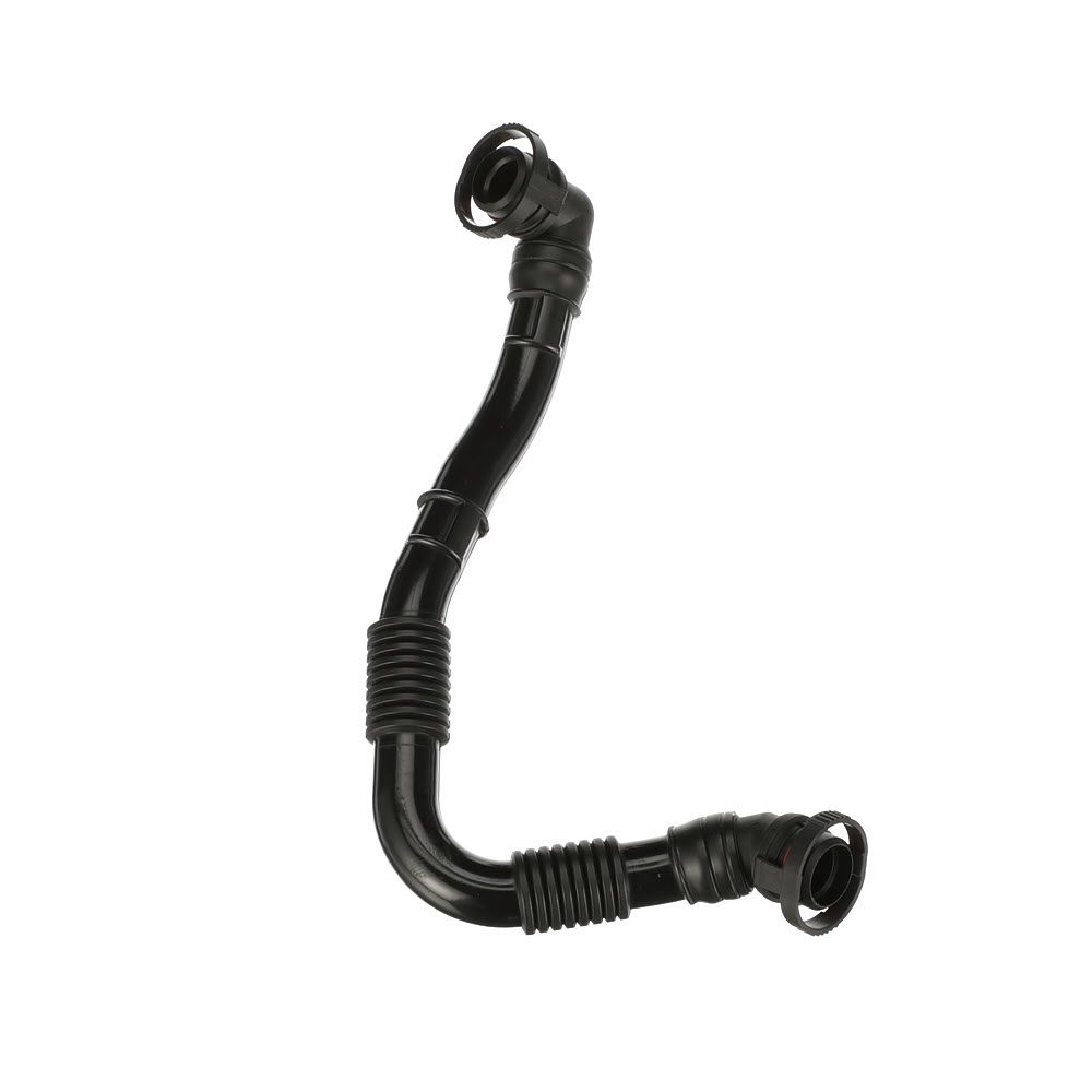 žarna, karterio alsuoklis