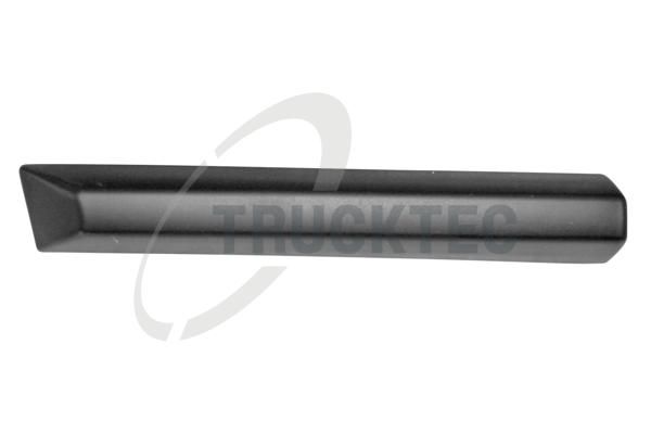 Zier-/Schutzleiste, Kotfl&uuml;gel