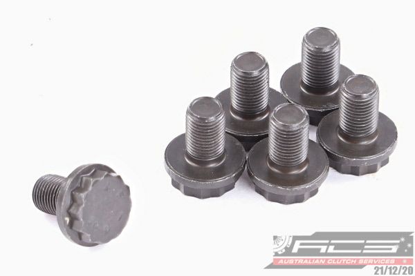 BOLT SET F/W AUDI 10x1.0x16 (6) 73Nm - TecDoc Only
