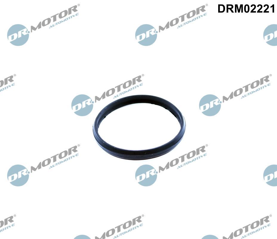drm_drm02221_wm_01.JPG